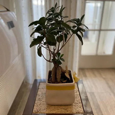 Apartment Lake Tirana Tirana