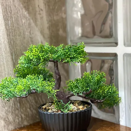 Apartment Apartment Lake Tirana Tirana